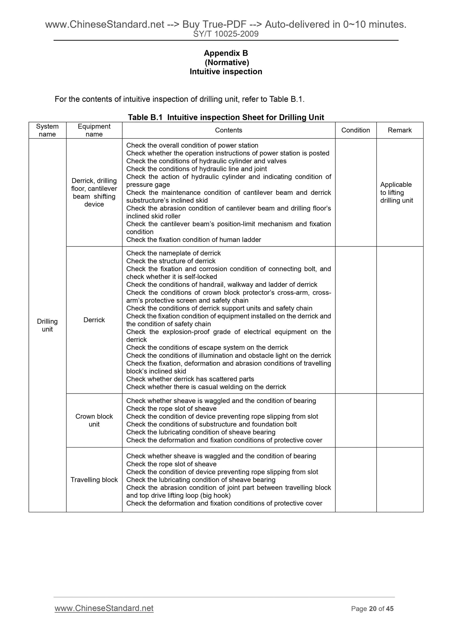 SY/T 10025-2009 Page 9